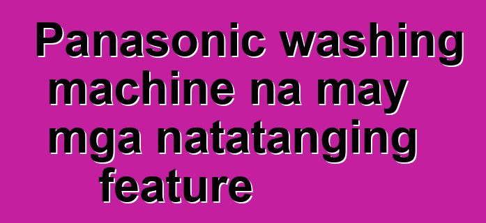 Panasonic washing machine na may mga natatanging feature