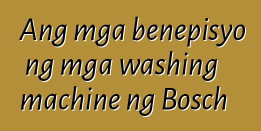 Ang mga benepisyo ng mga washing machine ng Bosch
