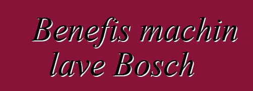 Benefis machin lave Bosch