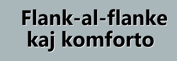 Flank-al-flanke kaj komforto