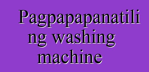 Pagpapapanatili ng washing machine