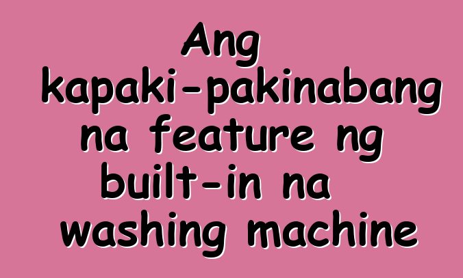 Ang pinakakapaki-pakinabang na feature ng built-in na washing machine