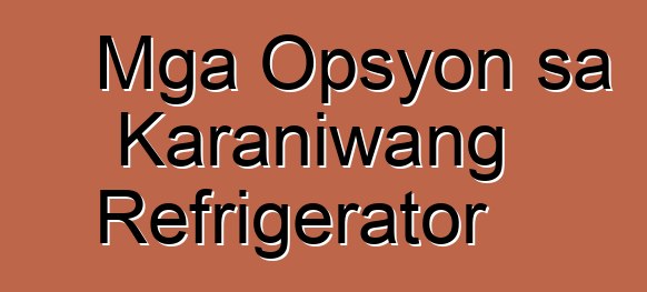 Mga Opsyon sa Karaniwang Refrigerator