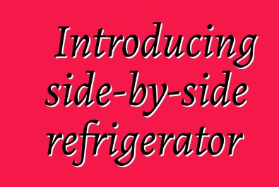 Introducing side-by-side refrigerator