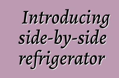 Introducing side-by-side refrigerator