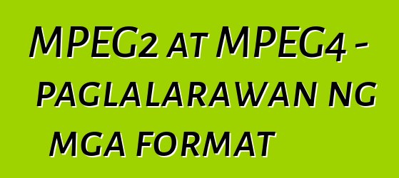 MPEG2 at MPEG4 - paglalarawan ng mga format