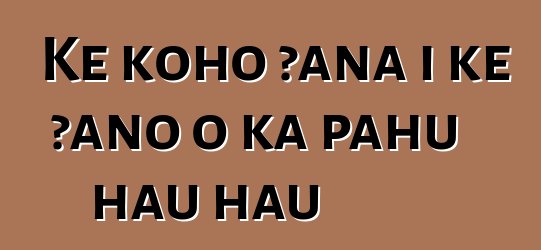 Ke koho ʻana i ke ʻano o ka pahu hau hau