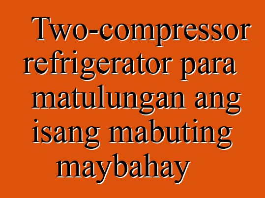 Two-compressor refrigerator para matulungan ang isang mabuting maybahay