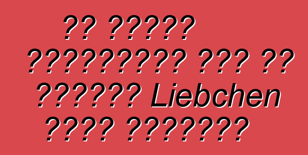Τι είναι ελκυστικό για τα ψυγεία Liebchen στην Ελβετία
