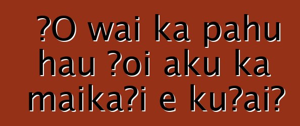 ʻO wai ka pahu hau ʻoi aku ka maikaʻi e kūʻai?