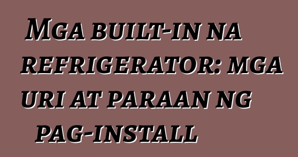Mga built-in na refrigerator: mga uri at paraan ng pag-install