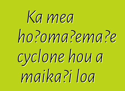 Ka mea hoʻomaʻemaʻe cyclone hou a maikaʻi loa