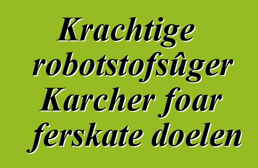 Krachtige robotstofsûger Karcher foar ferskate doelen