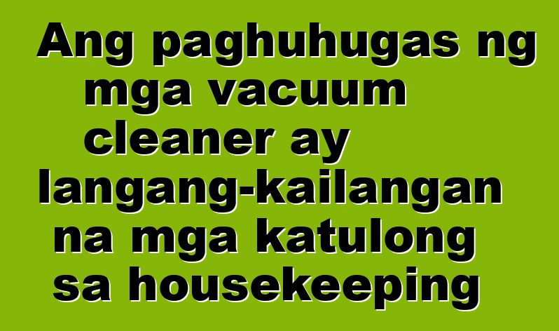 Ang paghuhugas ng mga vacuum cleaner ay kailangang-kailangan na mga katulong sa housekeeping