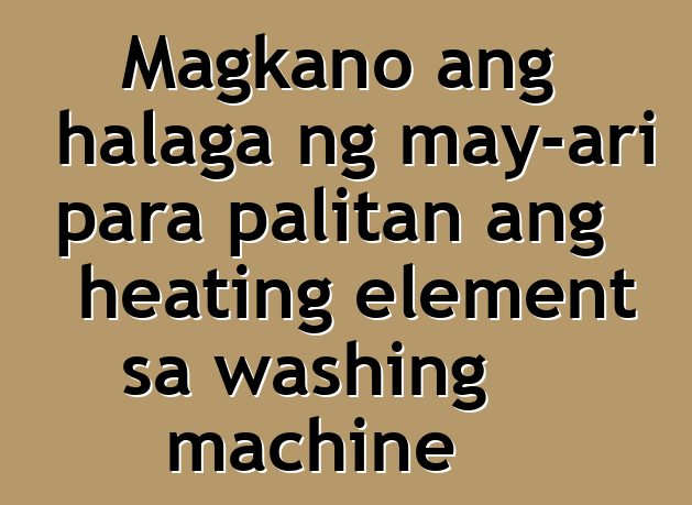 Magkano ang halaga ng may-ari para palitan ang heating element sa washing machine