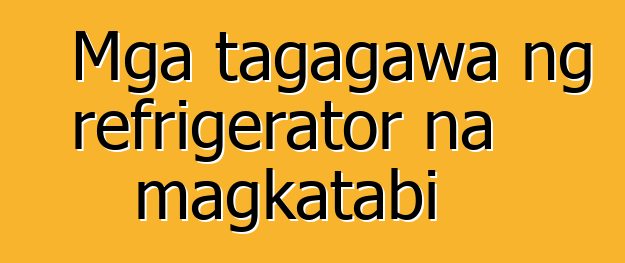 Mga tagagawa ng refrigerator na magkatabi