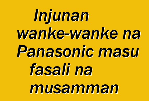 Injunan wanke-wanke na Panasonic masu fasali na musamman