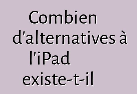 Combien d'alternatives à l'iPad existe-t-il