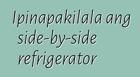 Ipinapakilala ang side-by-side refrigerator