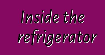 Inside the refrigerator