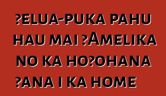 ʻelua-puka pahu hau mai ʻAmelika no ka hoʻohana ʻana i ka home