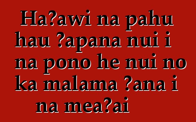 Hāʻawi nā pahu hau ʻāpana nui i nā pono he nui no ka mālama ʻana i nā meaʻai