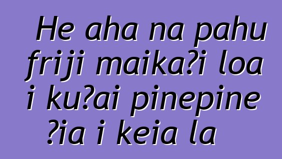He aha nā pahu friji maikaʻi loa i kūʻai pinepine ʻia i kēia lā