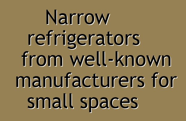 Narrow refrigerators from well-known manufacturers for small spaces