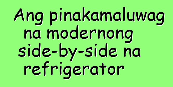 Ang pinakamaluwag na modernong side-by-side na refrigerator
