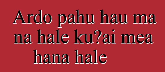 Ardo pahu hau ma nā hale kūʻai mea hana hale
