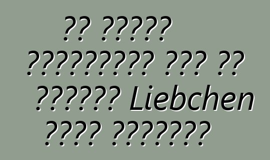Τι είναι ελκυστικό για τα ψυγεία Liebchen στην Ελβετία