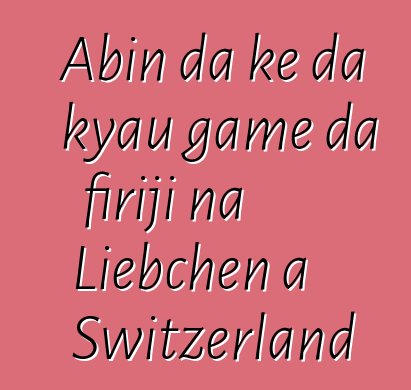 Abin da ke da kyau game da firiji na Liebchen a Switzerland
