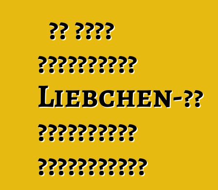 რა არის მიმზიდველი Liebchen-ის მაცივრებში შვეიცარიაში