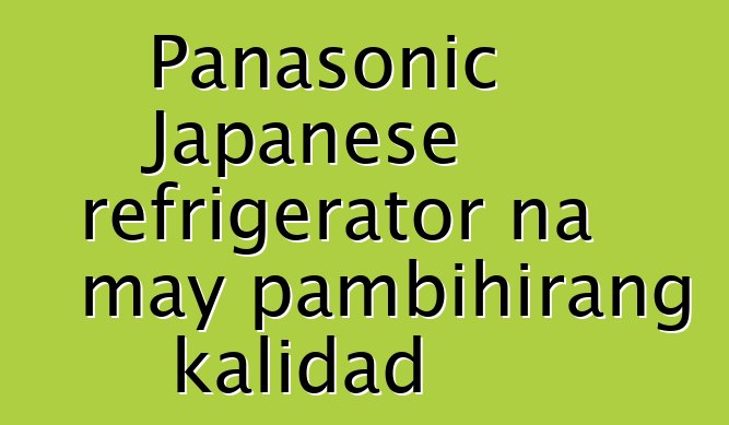 Panasonic Japanese refrigerator na may pambihirang kalidad