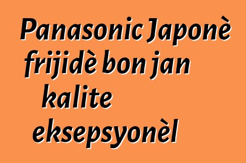 Panasonic Japonè frijidè bon jan kalite eksepsyonèl