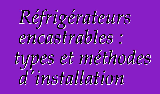 Réfrigérateurs encastrables : types et méthodes d'installation