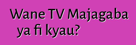 Wane TV Majagaba ya fi kyau?