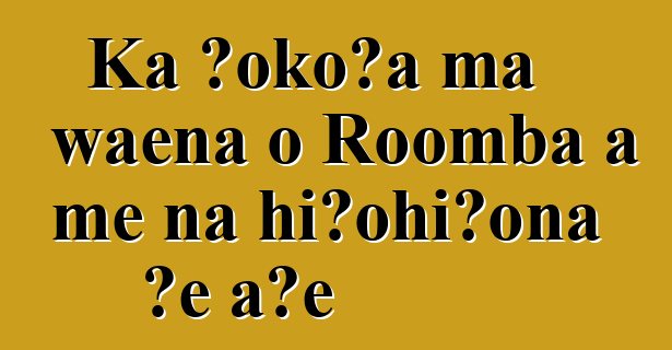 Ka ʻokoʻa ma waena o Roomba a me nā hiʻohiʻona ʻē aʻe