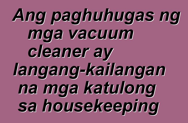 Ang paghuhugas ng mga vacuum cleaner ay kailangang-kailangan na mga katulong sa housekeeping
