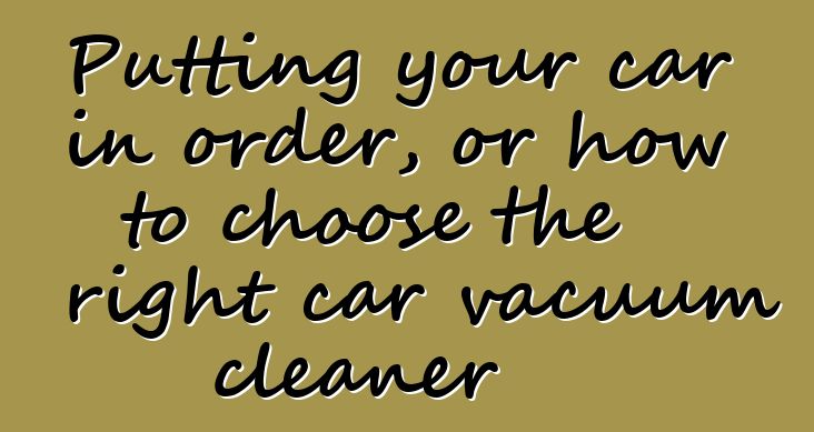 Putting your car in order, or how to choose the right car vacuum cleaner