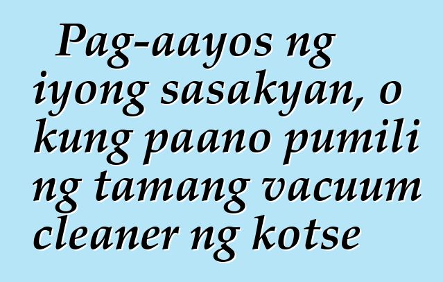 Pag-aayos ng iyong sasakyan, o kung paano pumili ng tamang vacuum cleaner ng kotse