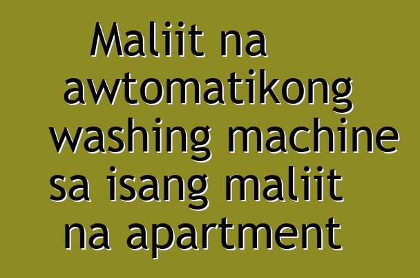 Maliit na awtomatikong washing machine sa isang maliit na apartment