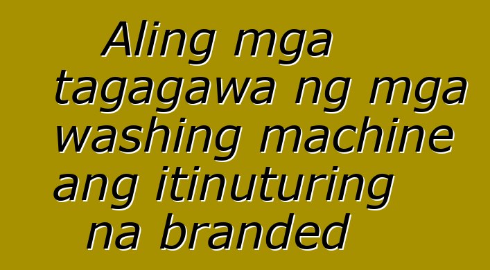 Aling mga tagagawa ng mga washing machine ang itinuturing na branded