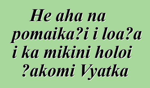 He aha nā pōmaikaʻi i loaʻa i ka mīkini holoi ʻakomi Vyatka
