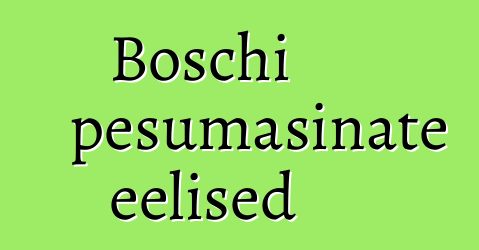 Boschi pesumasinate eelised