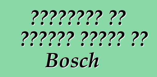 היתרונות של מכונות כביסה של Bosch