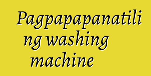 Pagpapapanatili ng washing machine