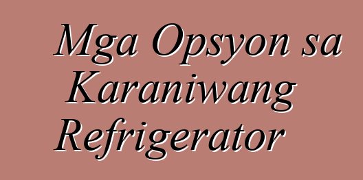 Mga Opsyon sa Karaniwang Refrigerator