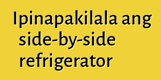 Ipinapakilala ang side-by-side refrigerator