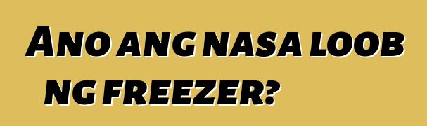 Ano ang nasa loob ng freezer?